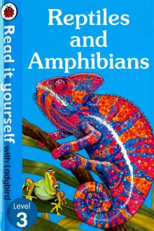 Reptiles and Amphibians. Level 3
