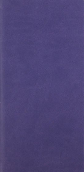 Еженедельник-планинг-2012, фиолетовый (78725456) Еженедельник-планинг-2012, фиолетовый (78725456)