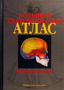 Роен, Йокочи, Лютьен-Дреколл - Большой анатомический атлас обложка книги Роен, Йокочи, Лютьен-Дреколл - Большой анатомический атлас обложка книги