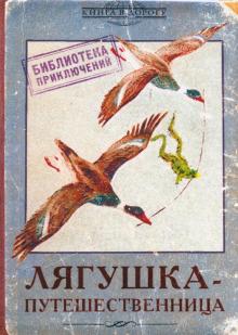 Обложка для загранпаспорта "Лягушка-путешественница" (RN576)