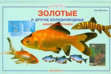 Золотые и другие холодноводные аквариумные рыбки