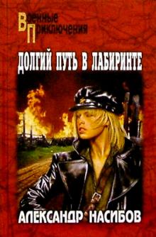 Александр Насибов - Долгий путь в лабиринте обложка книги Александр Насибов - Долгий путь в лабиринте обложка книги