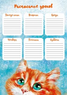 Расписание уроков Рыжий котик, А4