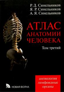 Синельников, Синельников, Синельников - Атлас анатомии человека. В 4-х томах. Том 3. Учение о сосудах и лимфоидных органах обложка книги Синельников, Синельников, Синельников - Атлас анатомии человека. В 4-х томах. Том 3. Учение о сосудах и лимфоидных органах обложка книги