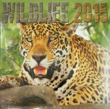 Календарь 2015 "Wildlife" (2236) Календарь 2015 "Wildlife" (2236)