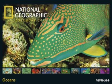 Календарь на 2013 год. National Geographic. Океаны (75953) Календарь на 2013 год. National Geographic. Океаны (75953)