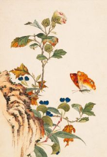 Птицы, насекомые и цветы. Бабочка, 18 листов