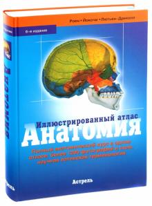 Роен, Йокочи, Лютьен-Дреколл - Иллюстрированный атлас. Анатомия обложка книги Роен, Йокочи, Лютьен-Дреколл - Иллюстрированный атлас. Анатомия обложка книги
