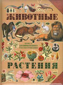 Животные. Растения