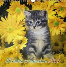Календарь на 2014 год "Кошки и котята". Перекидной с ригелем (18 0003) Календарь на 2014 год "Кошки и котята". Перекидной с ригелем (18 0003)