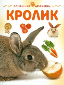 Мэтью Рейнер - Кролик обложка книги Мэтью Рейнер - Кролик обложка книги