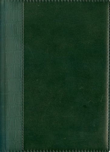 Ежедневник "Зеленый (комби)" (ЕКК1151924) Ежедневник "Зеленый (комби)" (ЕКК1151924)