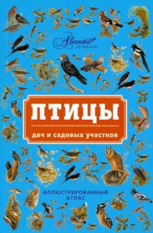 Владимир Бабенко - Птицы дач и садовых участков обложка книги Владимир Бабенко - Птицы дач и садовых участков обложка книги