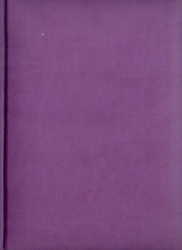 Ежедневник-2012, темно-сиреневый (72325477) Ежедневник-2012, темно-сиреневый (72325477)