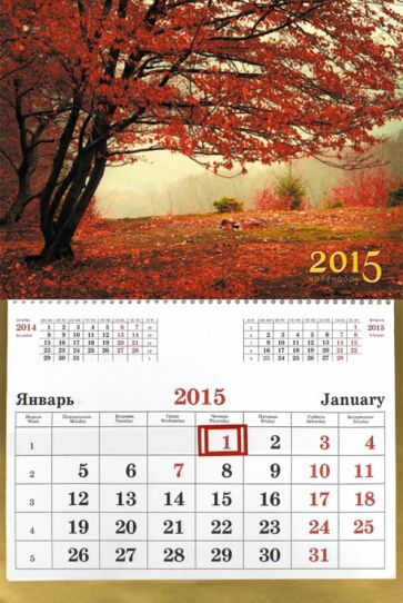 Календарь настенный одноблочный на 2015 год "Очарование осени" (ККОБ1508) Календарь настенный одноблочный на 2015 год "Очарование осени" (ККОБ1508)