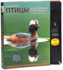 Ксения Митителло - Птицы. Водоплавающие и околоводные. Звуковая энциклопедия (утка) обложка книги Ксения Митителло - Птицы. Водоплавающие и околоводные. Звуковая энциклопедия (утка) обложка книги