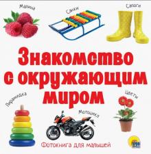 Знакомство с окружающим миром