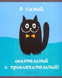 Тетрадь "Черный котик", А5, 48 листов, в ассортименте (ТКБ487209)