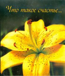 Что такое счастье... обложка книги Что такое счастье... обложка книги