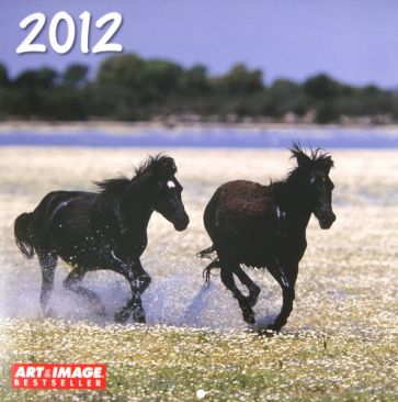 Календарь на 2012 год "Лошади" (5387-0) Календарь на 2012 год "Лошади" (5387-0)