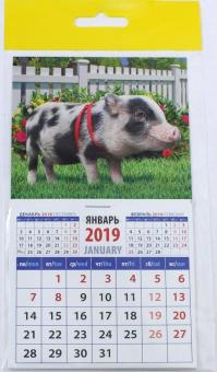 Календарь 2019 "Год поросенка. Отдых на даче" (20935)