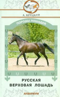 Русская верховая лошадь