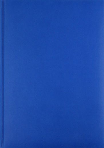 Ежедневник-2012, светло-синий (72325914) Ежедневник-2012, светло-синий (72325914)