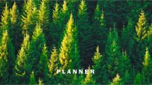 Планинг карманный недатированный Зеленый лес, 64 листа