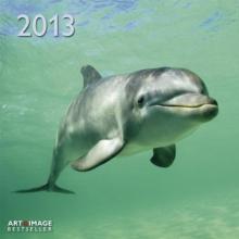 Календарь 2013 "Дельфины" (76065) Календарь 2013 "Дельфины" (76065)