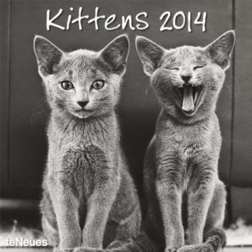 Календарь на 2014 год "Котята" (7-6207) Календарь на 2014 год "Котята" (7-6207)