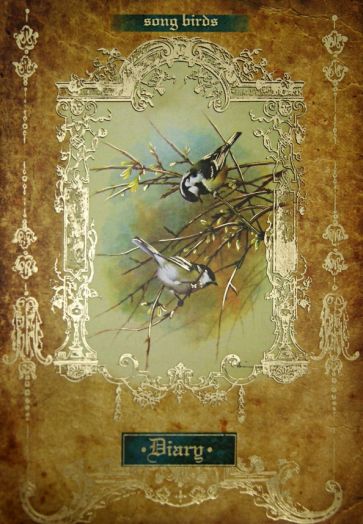 Ежедневник, размер 152х204 мм, 240 страниц (30061) Ежедневник, размер 152х204 мм, 240 страниц (30061)