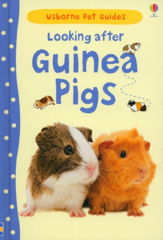 Pets guide. Книги про морских свинок. Usborne first Pets. Мой питомец морская Свинка на английском. Дневник морская Свинка.
