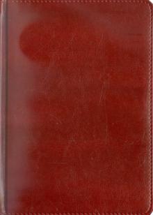 Ежедневник полудатированный 384 страницы, А5, бордо (22902) Ежедневник полудатированный 384 страницы, А5, бордо (22902)