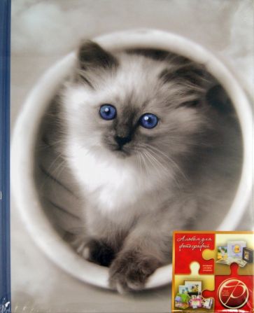 Фотоальбом "Fluffy kittens" (11614 LM-SA10) Фотоальбом "Fluffy kittens" (11614 LM-SA10)