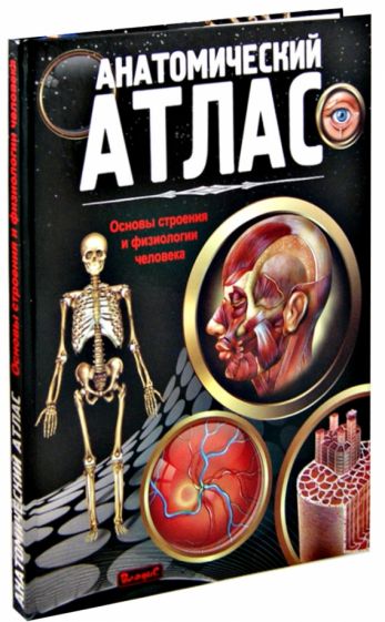 Анатомический атлас. Основы строения и физиологии человека обложка книги Анатомический атлас. Основы строения и физиологии человека обложка книги