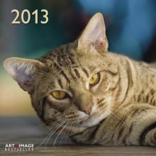 Календарь 2013 "Кошки" (75642) Календарь 2013 "Кошки" (75642)