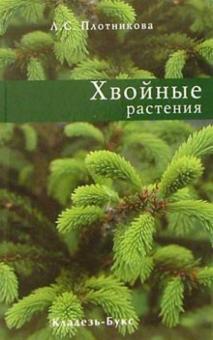 Лилиан Плотникова - Хвойные растения обложка книги Лилиан Плотникова - Хвойные растения обложка книги