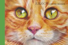 Альбом для рисования Рыжий котик, А4, 40 листов