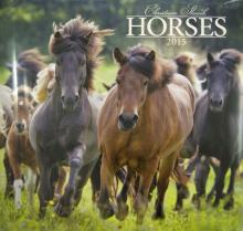Календарь 2015 "Horses Christiane Slawik" (2239) Календарь 2015 "Horses Christiane Slawik" (2239)