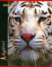 Тетрадь 48 листов "Mystical" клетка (6485125126) Тетрадь 48 листов "Mystical" клетка (6485125126)