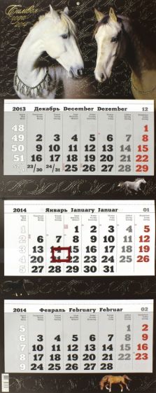 Календарь на 2014 год "Символ года. Дуэт" (12 0006) Календарь на 2014 год "Символ года. Дуэт" (12 0006)