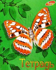 Тетрадь 80л. Спираль 1387-1390 (Бабочки) Тетрадь 80л. Спираль 1387-1390 (Бабочки)