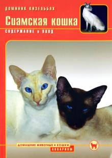 Сиамская кошка. Содержание и уход