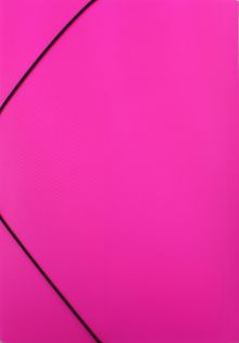 Папка пластиковая с клапанами на резинке "DIAMOND NEON розовая", А4 (Пк4р_02033)