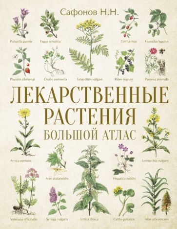 Лекарственные травы и растения — Часть 2: полезные свойства, применение и рецепты