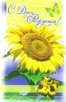 3ВКТ-134/День рождения/открытка-вырубка двойная 3ВКТ-134/День рождения/открытка-вырубка двойная