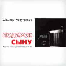 Шамиль Аляутдинов - Подарок сыну. Формулы счастья. Для детей от 5 до 60 лет обложка книги Шамиль Аляутдинов - Подарок сыну. Формулы счастья. Для детей от 5 до 60 лет обложка книги