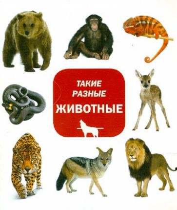 Такие разные животные обложка книги Такие разные животные обложка книги