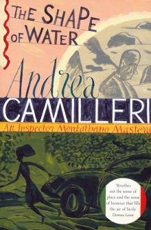 Andrea Camilleri - The Shape of Water обложка книги Andrea Camilleri - The Shape of Water обложка книги
