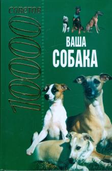 В. Давыденко - 10000 советов: Ваша собака обложка книги В. Давыденко - 10000 советов: Ваша собака обложка книги